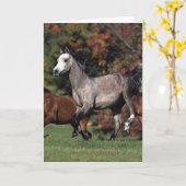 Group of Arab Horses Running Karte (Gelbe Blume)