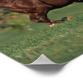 Group of Arab Horses Running Poster (Ecke)