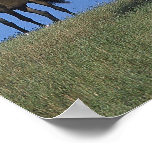 Group of Arabs Poster (Ecke)