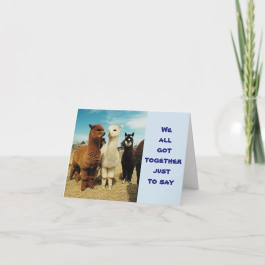 GROUP OF "LLAMAS SAY HAPPY BIRTHDAY" KARTE (Vorderseite)