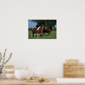 Group of Paint Horses Standing Poster (Küche)