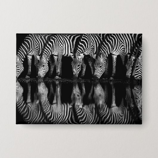 Group of Plains Zebra Drink Together at Night Button (Vorderseite)