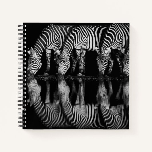 Group of Plains Zebra Drink Together at Night Notizblock (Vorderseite)