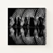 Group of Plains Zebra Drink Together at Night Notizblock (Rückseite)