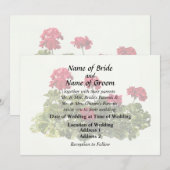 Group of Red Geraniums Einladung (Vorne/Hinten)