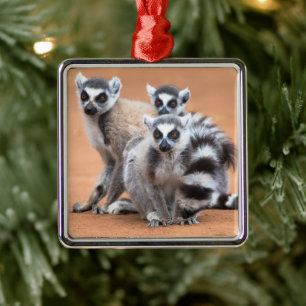 Group of Ring-Tailed Lemurs Ornament Aus Metall