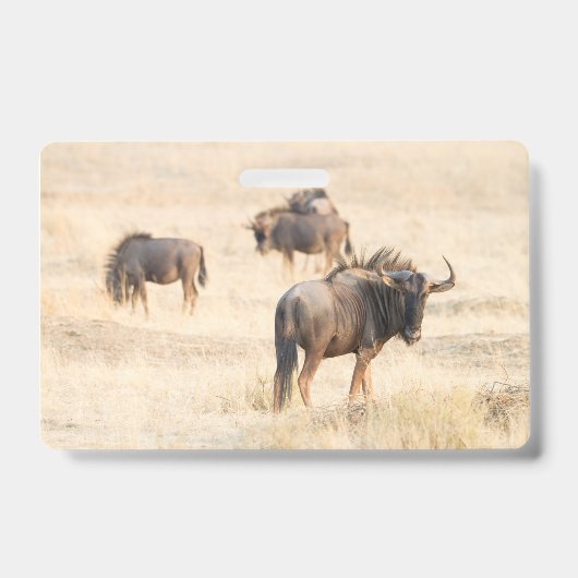 Group of Wildebeest Ausweis (Vorderseite)