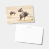 Group of Wildebeest Ausweis (Vorder- & Rückseite)