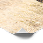 Group of Wildebeest Poster (Ecke)