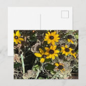 Group of Yellow Flowers Postcard Postkarte (Vorne/Hinten)