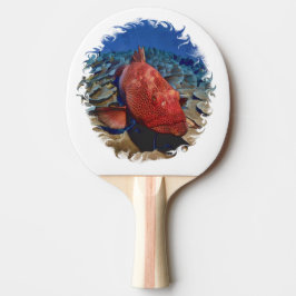 Grouper Fish on Coral Golf Balls Golf Ball Marker Tischtennis Schläger