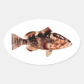 Grouper Fish Ovaler Aufkleber (Vorderseite)