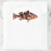 Grouper Fish Ovaler Aufkleber (Tasche)