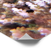 Grouper in Lettuce Poster (Ecke)