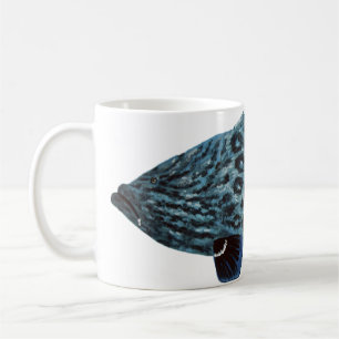 Grouper Tasse