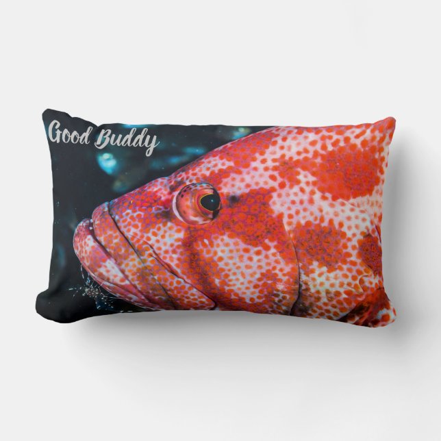 Grouper und Cleaner Shrimp Lendenkissen (Vorderseite)