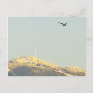 Grouse Mountain, BC Postcard Postkarte