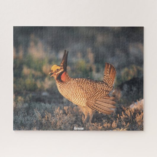 Grouse Puzzle (Horizontal)