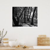 Grove am Bahnhof Hopland, 1966 Poster (Küche)