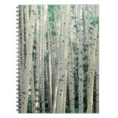 Grove of Mountain Aspen Trees Notebook Notizblock (Vorderseite)
