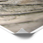 Grove of the Patriarchas Poster (Ecke)