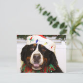 Grover- - Bernese Gebirgshund Feiertagspostkarte (Stehend Vorderseite)
