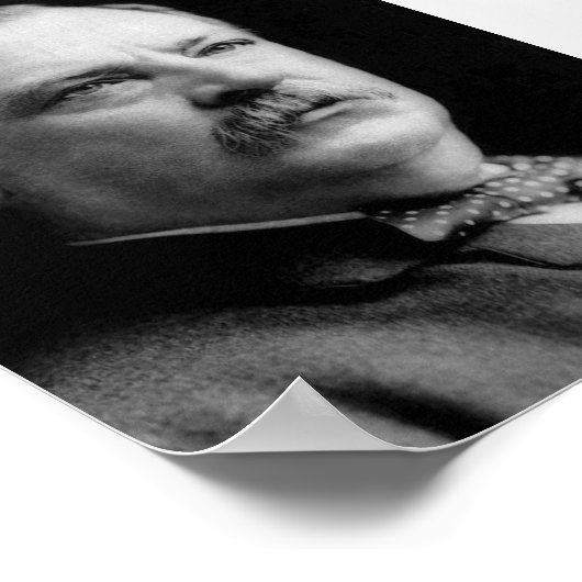 Grover Cleveland Poster (Ecke)