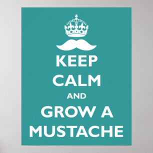Grow a Mustache Poster