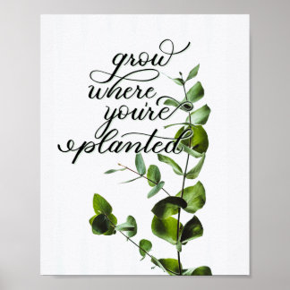 "Grow where you are Planted" inspirierendes Zitat Poster