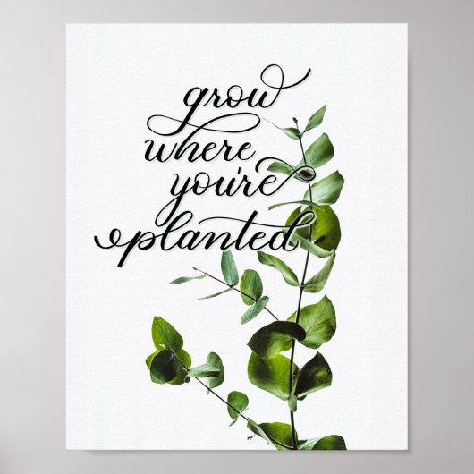 "Grow where you are Planted" inspirierendes Zitat Poster (Vorne)