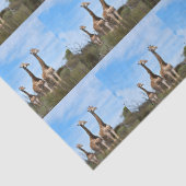 Growing Tall Safari Harmony Seidenpapier (Detail)