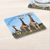 Growing Tall Safari Moment Rechteckiger Pappuntersetzer (angewinkelt)