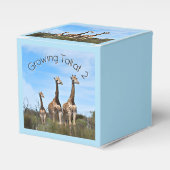 Growing Tall Safari Wonder Geschenkschachtel (Vorderseite)