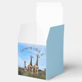 Growing Tall Safari Wonder Geschenkschachtel (Geöffnet)