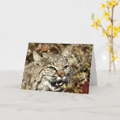 Growling Bobcat Karte (Gelbe Blume)