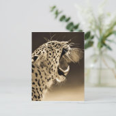 Growling Leopard Postkarte (Stehend Vorderseite)