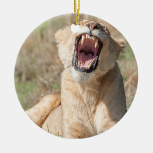Growling Lioness Keramik Ornament