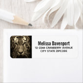 Growling Tiger Face Wild Cat (Insitu)