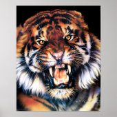 Growling Tiger Poster (Vorne)