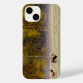 Grozing Elk Couple iPhone Case (Rückseite)