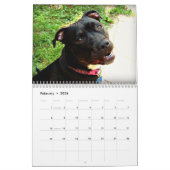 Grube Stier und Rottweiler Liebe Kalender (Feb 2026)