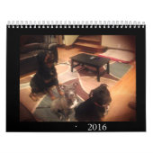 Grube Stier und Rottweiler Liebe Kalender (Titelbild)