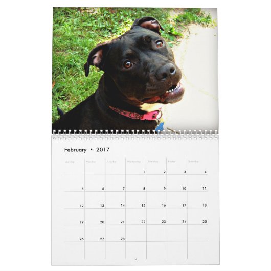 Grube Stier und Rottweiler Liebe Kalender (Feb 2017)