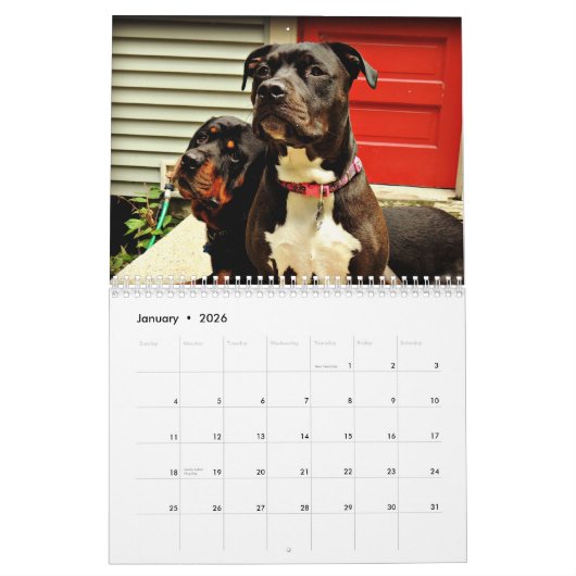 Grube Stier und Rottweiler Liebe Kalender (Jan 2026)