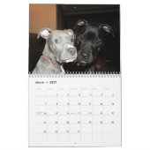 Grube Stier und Rottweiler Liebe Kalender (Mär 2027)
