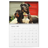 Grube Stier und Rottweiler Liebe Kalender (Jan 2027)