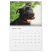 Grube Stier und Rottweiler Liebe Kalender (Feb 2027)