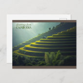 Gruben aus Kambodscha - Reisfeld Postkarte (Vorne/Hinten)