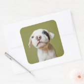 Grubenbulle mit Gepunktetem schwarzen Auge Quadratischer Aufkleber (Umschlag)