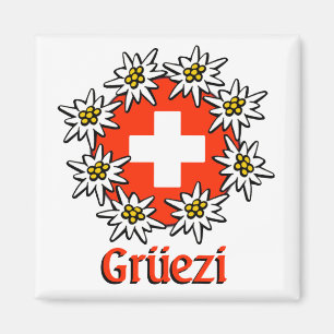 Gruezi Quadrat-Magnet Magnet